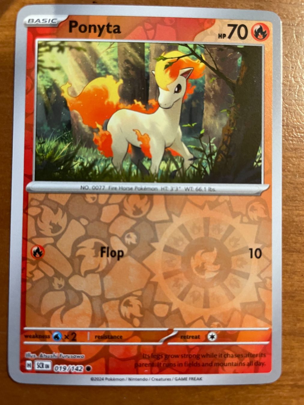 Pokémon Carte collezionabili: Pokemon Ponyta Reverse (Versand gratis) – Nuovo (secondo la descrizione) da Chur venduto da Angerson