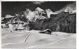 KANDERSTEG Skigebiet Oeschinen - Blümlisalp und Fründenhorn