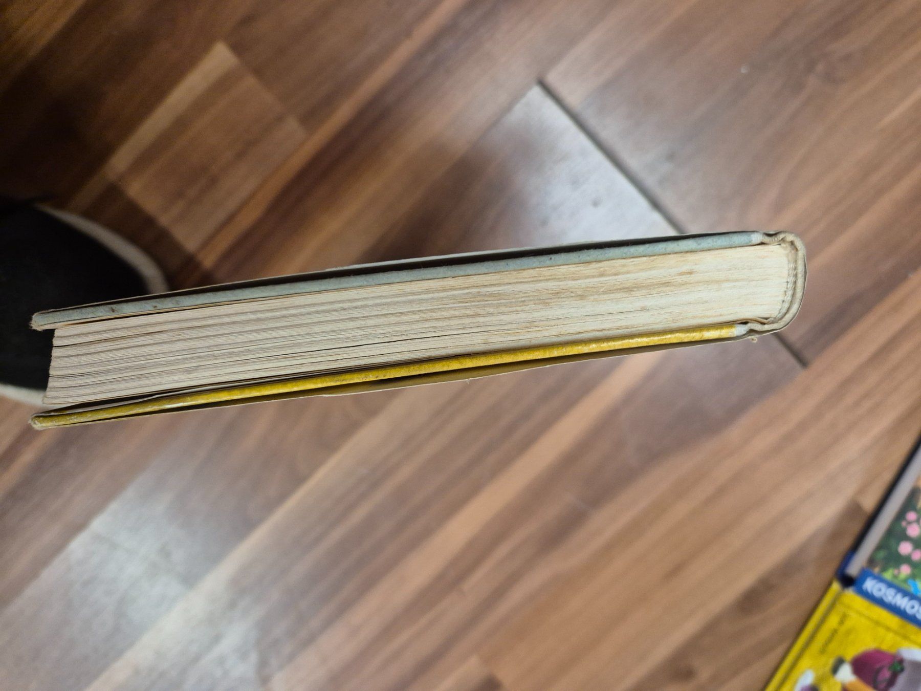 Bücher: Kinderbuch "Brüder machen Kummer" von Lise Gast, 1965 K6 – Gebraucht aus Schwarzenburg von Flamingo07 4