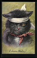 A. Thiele: Oh dieser Kater, Schwarzer Ka