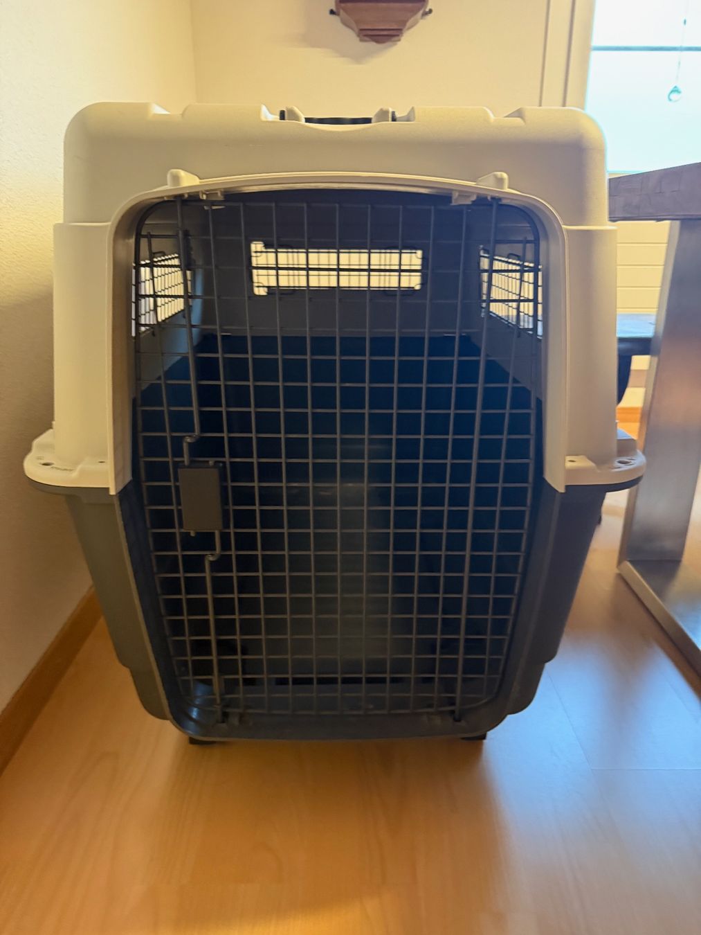 Cucce & Letti: AniOne Transportbox L – Usato da Hellbühl venduto da silvan_reber 4