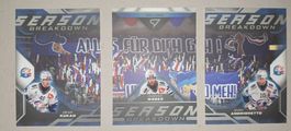 SportZoo Playoff, Season Breakdown, ZSC Lions
