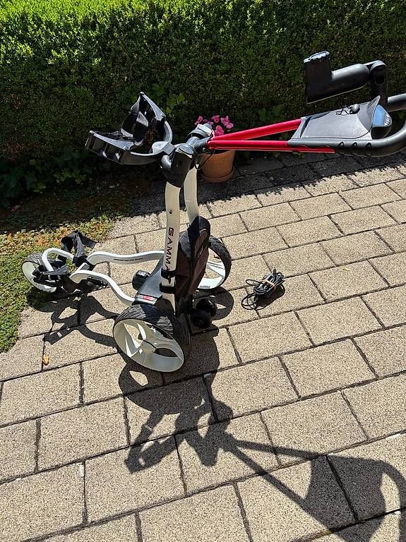 Veicoli elettrici: BIGMAX  Gamma – Usato da Schaffhausen venduto da pbrunos1
