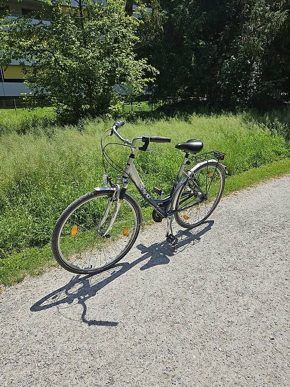 Biciclette: ISU Tourman Damenrad  silber/schwarz – Usato da Zürich venduto da Elena231 3
