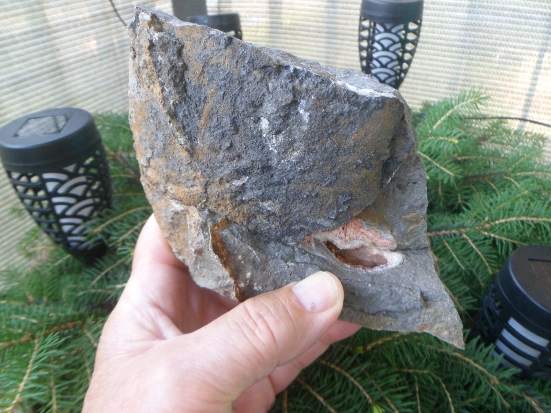 Fossili: Ammonitstück dreiteilig. Schweiz – Usato da Affoltern am Albis venduto da Fossil60 1