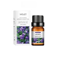 XO Hochwertiges wasserlösliches Duftöl 10ml (VIOLET)