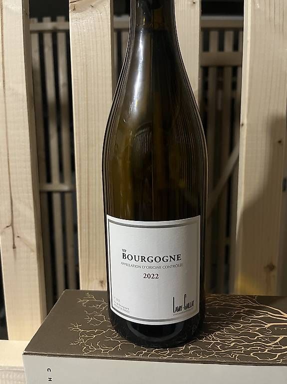 Vino: Lamy Caillat Bourgogne Blanc – Usato da Zürich venduto da dav_m9zc