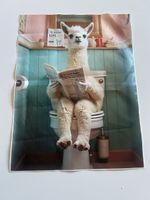 Affiche lama sur toile, motif humoristique,m