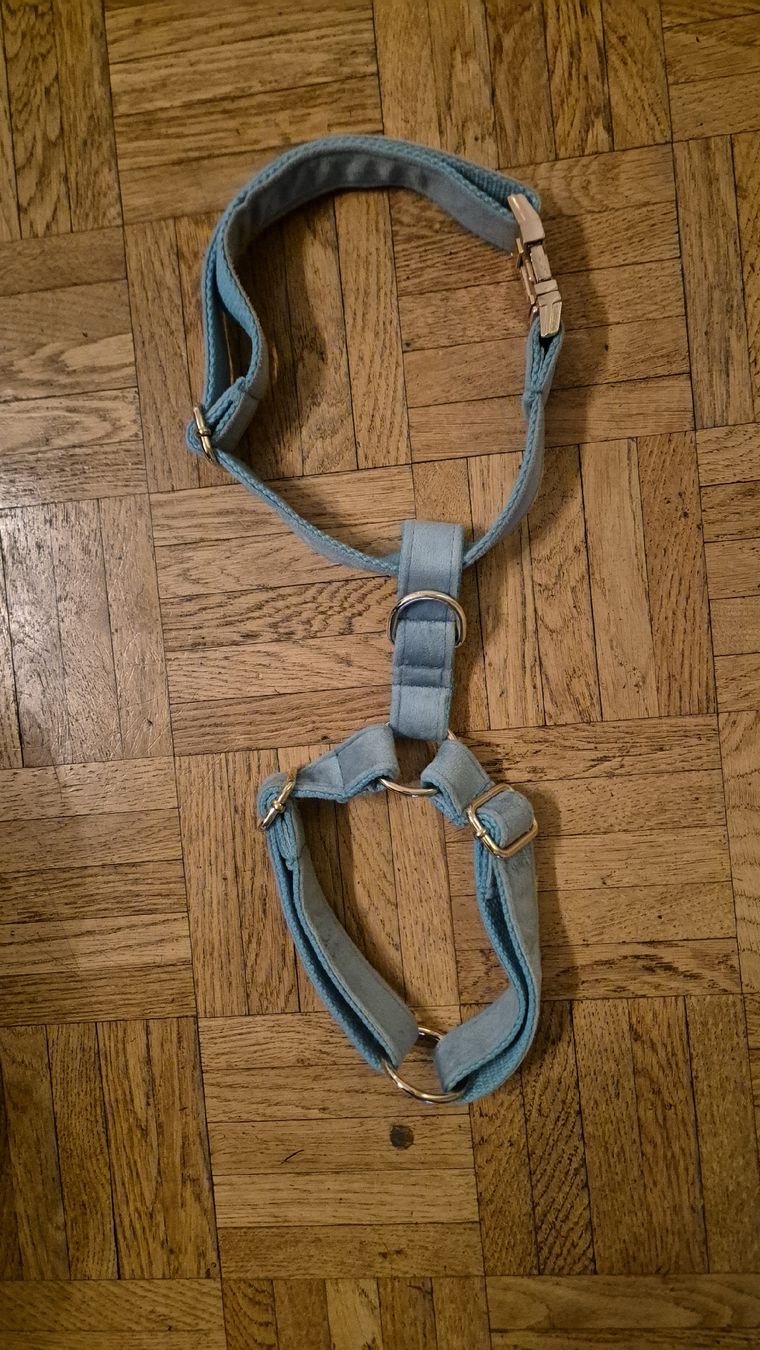 Collier et laisse: Hunde Brustgurt – D'occasion à Neuenhof par Vany0607