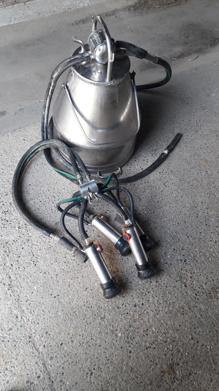 Tutte le macchine: Melkmaschine Westfalia nummer 3 – Usato da Laufen venduto da Mann455 3