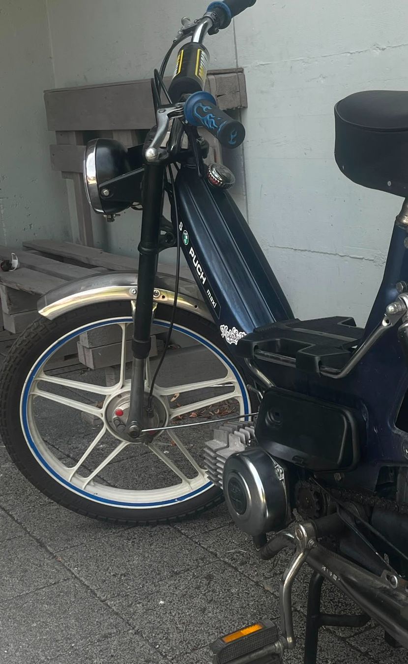 Puch Mofas: Puch Maxi S – Gebraucht aus Düdingen von chanjira 2