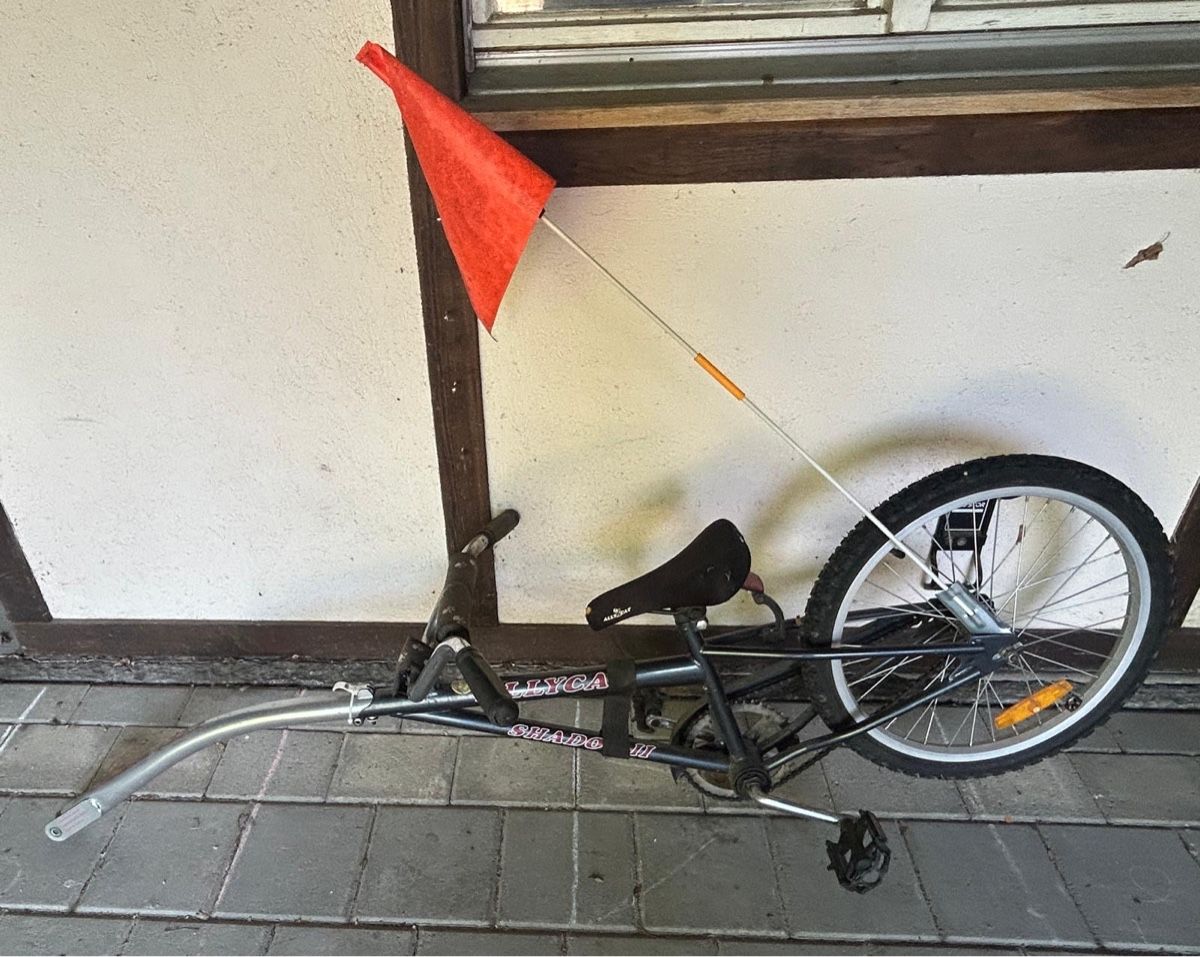 Velos: Schattenvelo Allycat – Gebraucht aus Jegenstorf von Bahnhofshallenkiosk