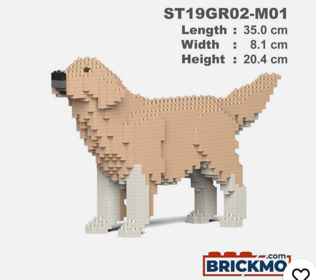 Kit di costruzioni: Golden Retriever Brickmo Bausatz – Usato da Richterswil venduto da tilodecooli 1