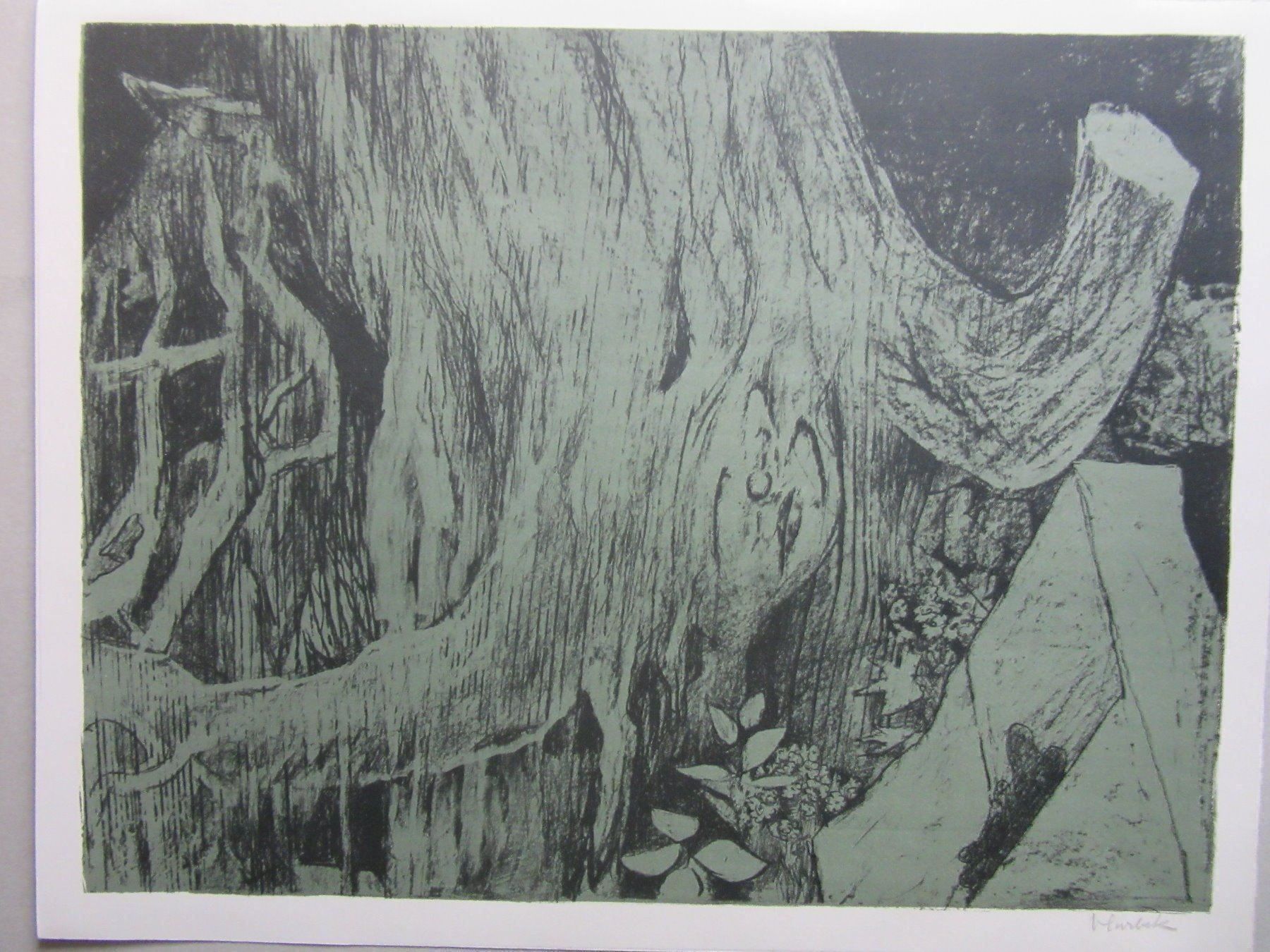 Grafica & Litografie: VIKTOR SURBEK LITHOGRAPHIE – Usato da Gersau venduto da grafik-kunst
