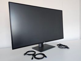 Dell UltraSharp U4320Q 43 Zoll 4K UHD Monitor  - Top Zustand