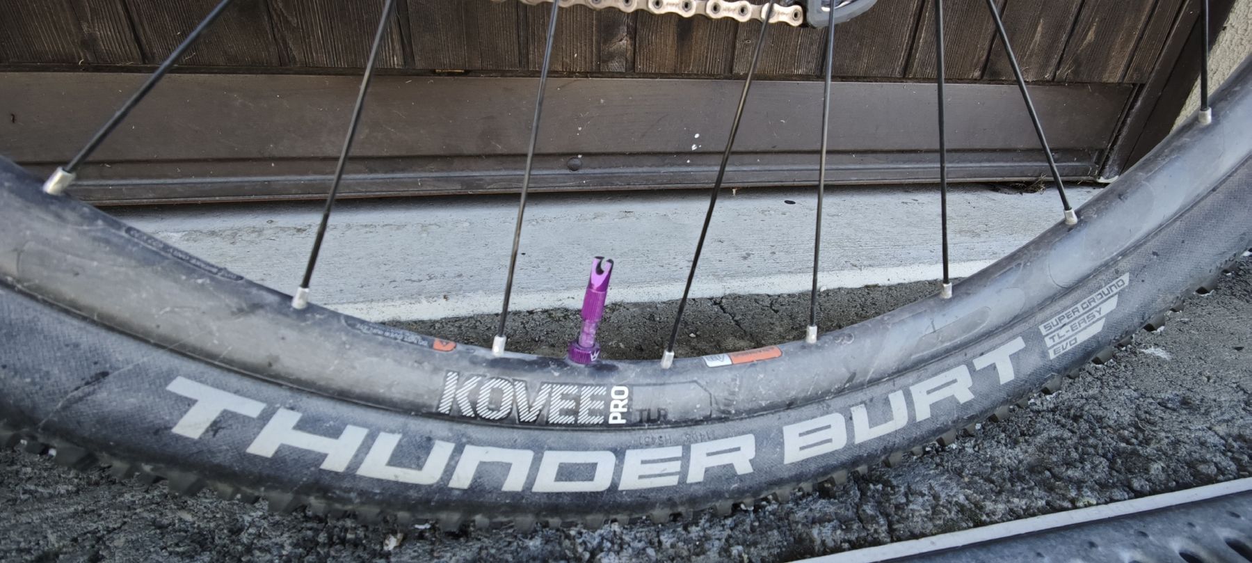 Cerchioni: Kovee Pro 29" Laufradsatz Boost – Usato da Oetwil am See venduto da mountaintosurf 3
