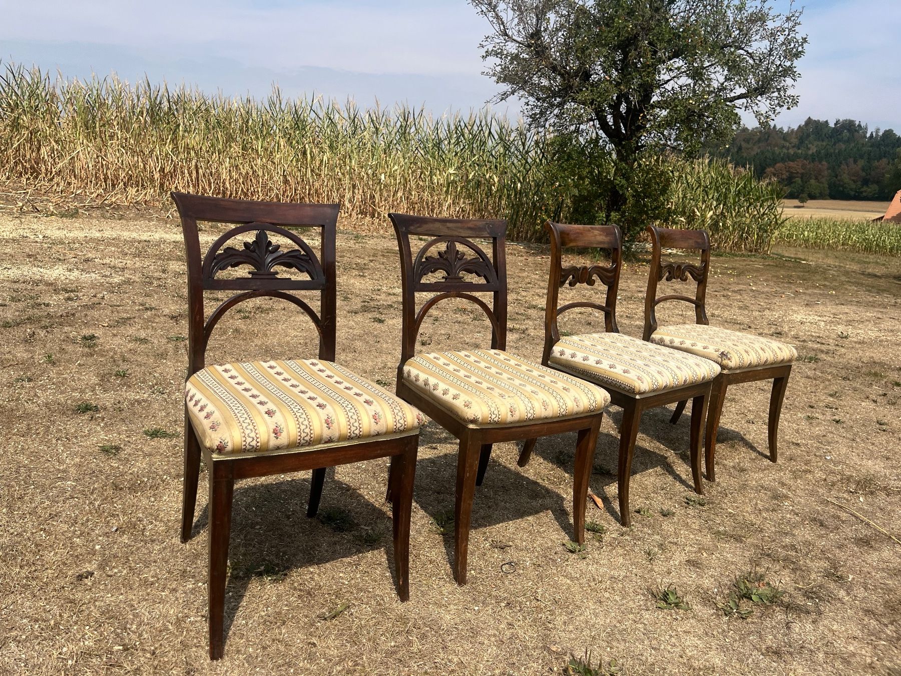 Stühle: 4 Stühle – Gebraucht aus Allmendingen b. BE von juair