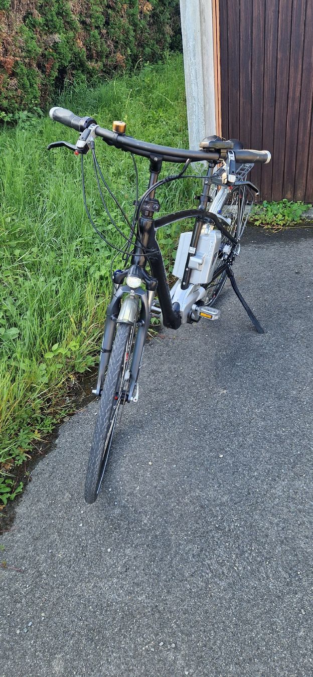 Flyer Biciclette: E-Bike FLYER – Usato da Romanshorn venduto da fag_gnd6 5