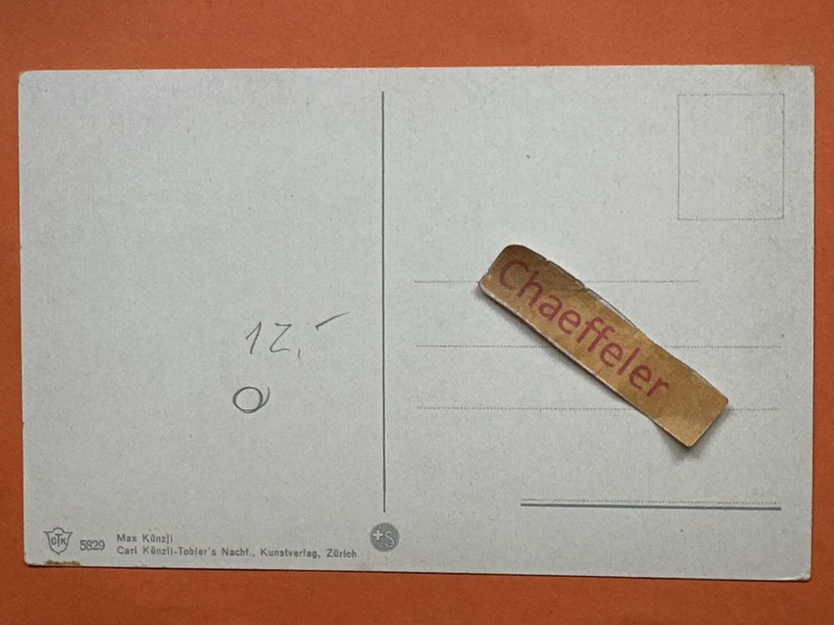Cartoline postali: Alte Ansichtskarte Rheinau mit Kloster und Wappen – Usato da Zürich venduto da Chaeffeler 1