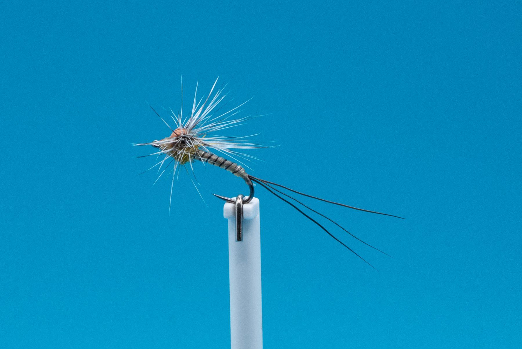 Esche: 5 verschiedene Paraloop- Nymphen – Nuovo (secondo la descrizione) da Grenchen venduto da firefly2000 2