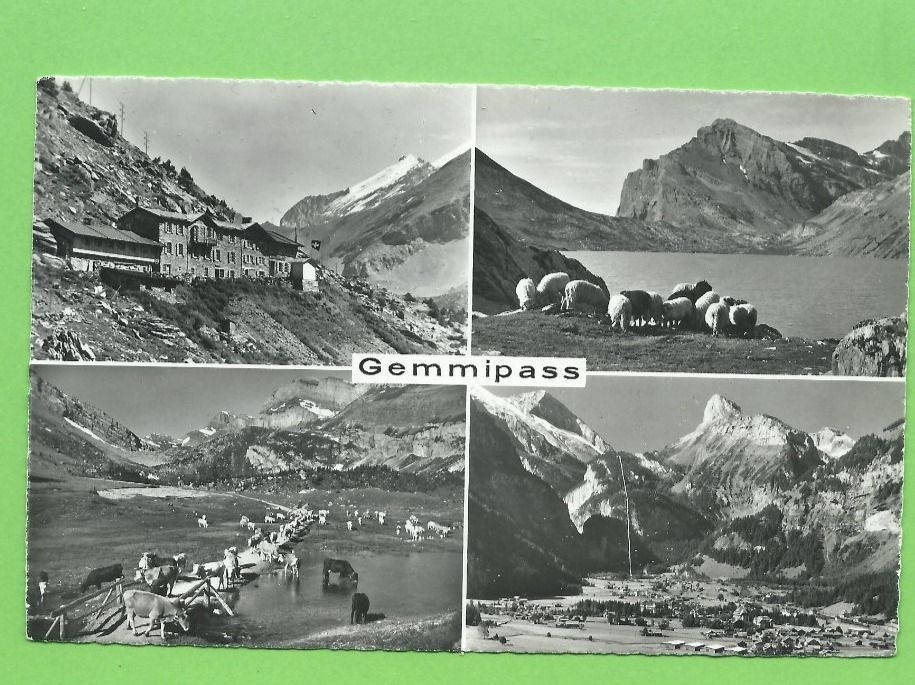 Cartoline postali: Gemmipass – Usato da Zürich venduto da t24_de