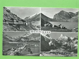 Gemmipass