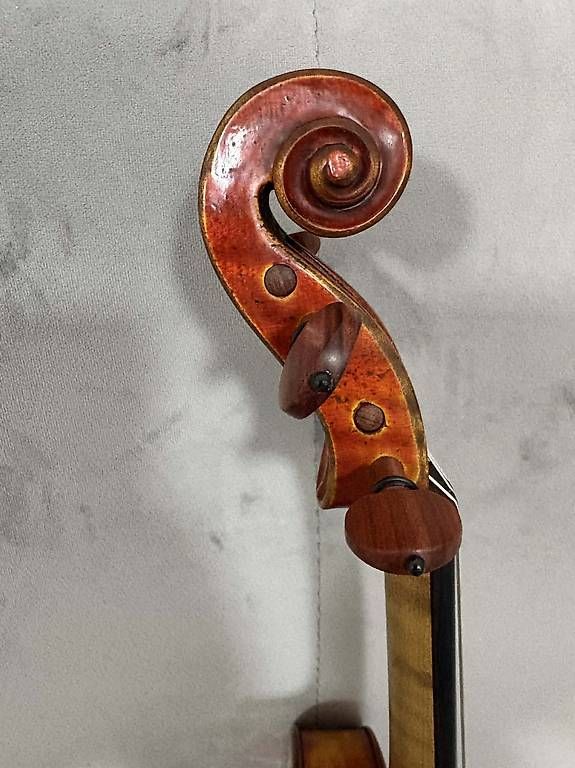 Strumenti musicali: Violine 4/4 – Usato da Luzern venduto da Echo11 3