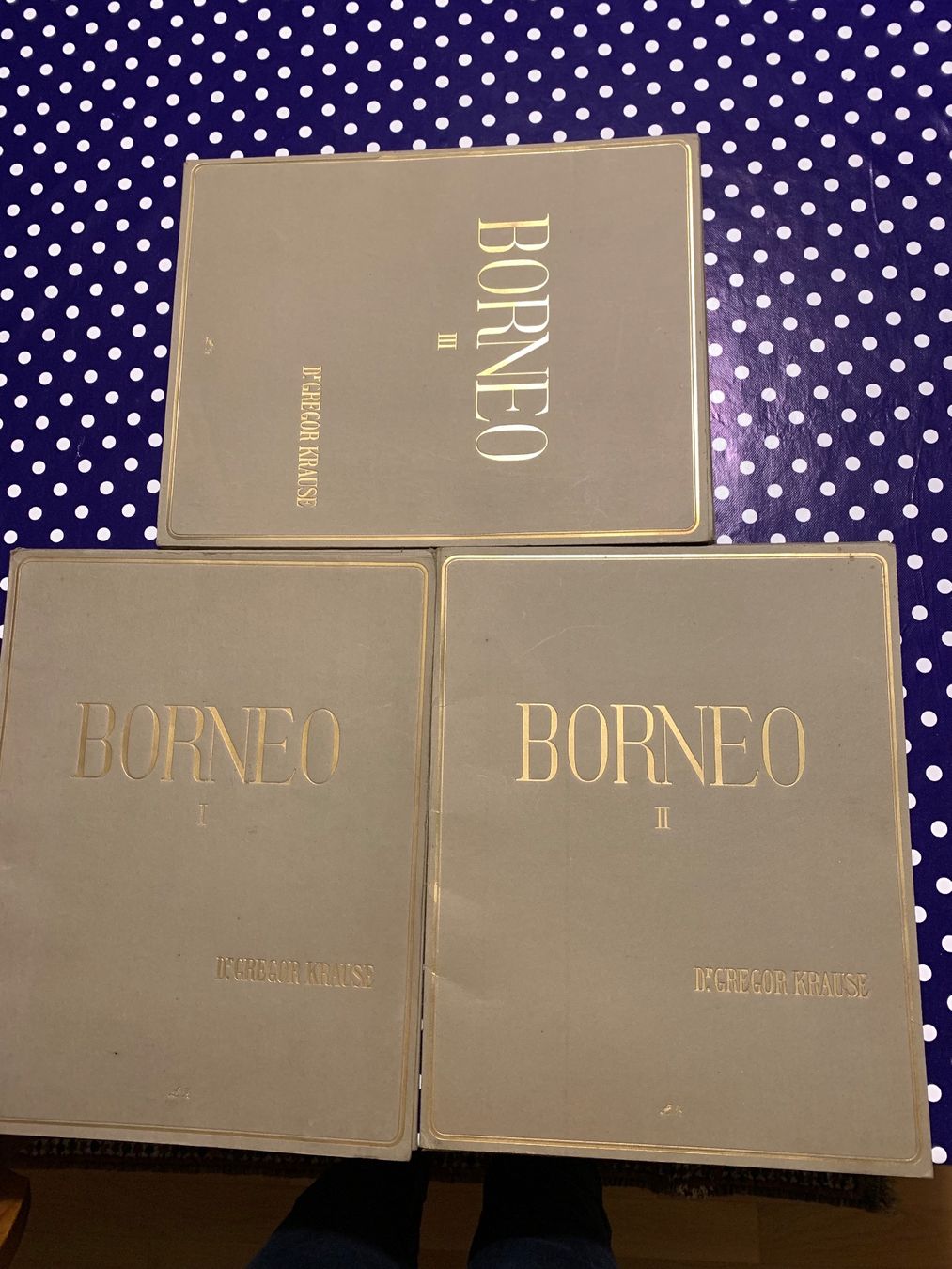 Libri: Antikes Borneo 1-3 Dr. Gregor Krause 1920-1925 – Usato da Basel venduto da Akinom50