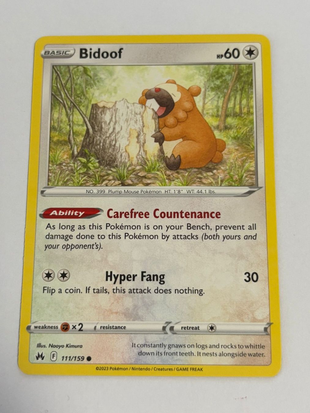 Pokémon Carte collezionabili: Pokemon-Karte Bidoof 111/159 – Usato da Herisau venduto da Seyashop1