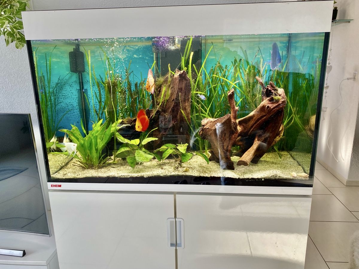 Acquari: Eheim,Aquarium, – Usato da Wohlenschwil venduto da ogon70 1