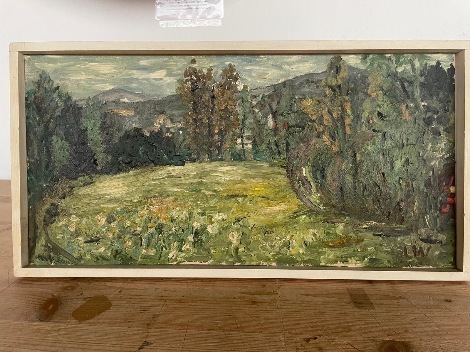 Dipinti: Ölgemälde LW 52x27cm – Usato da Hitzkirch venduto da Reliko