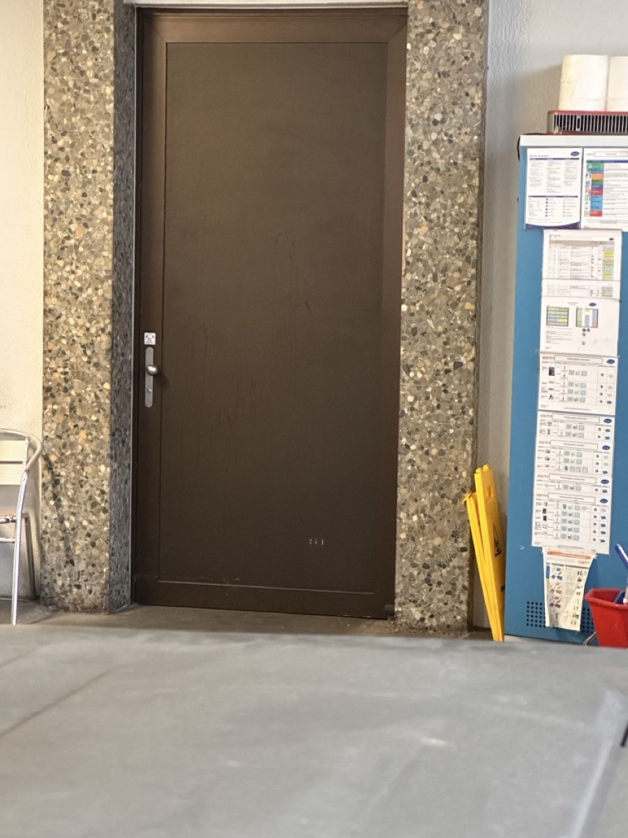 Porte: Metalltüre 1200x2550 – Usato da Dulliken venduto da Antik_Vintage
