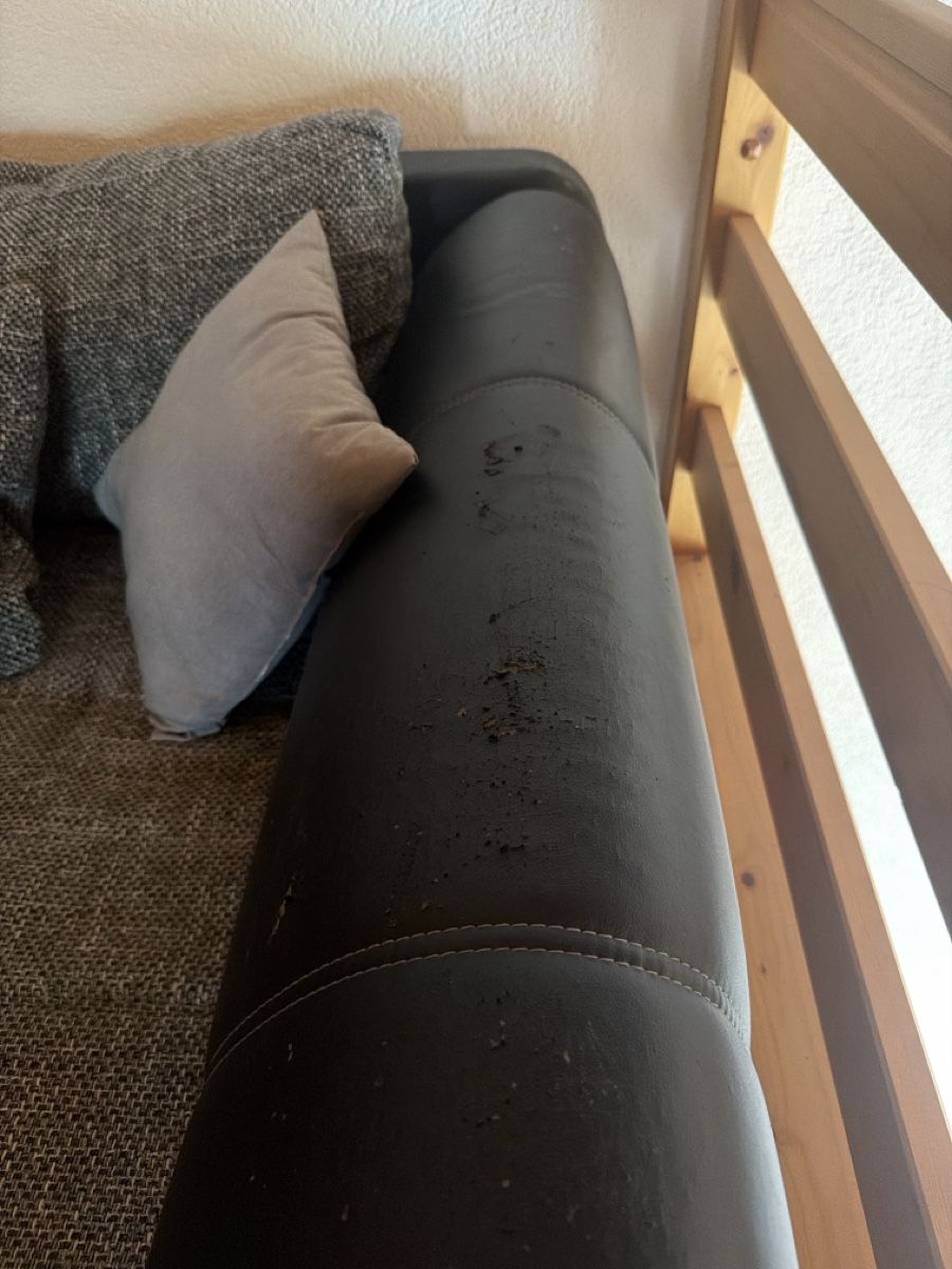 Divani: Sofa – Usato da Mühleberg venduto da Shindy14 1