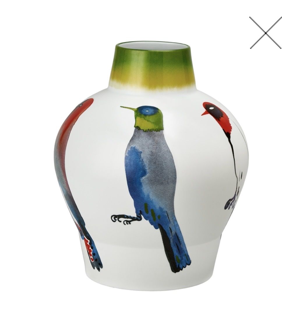 Vasen & Gefässe: REGARDER LES OISEAUX – Gebraucht aus Wallisellen von ana_qgq7 2