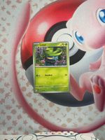 Lotad Pokemon Karte Holo/Reverse Holo/Common