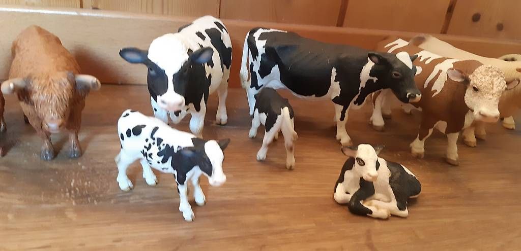 Schleich Jouets: Schleich Kühe – D'occasion à Rütihof par ali_9tbw 2
