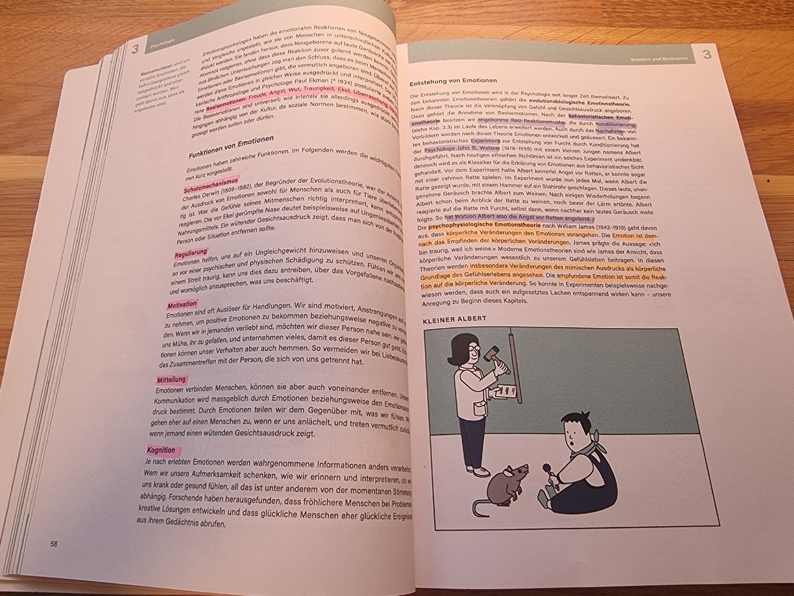 Livres: Sozialwissenschaften – D'occasion à Derendingen par Sarah.jana 3