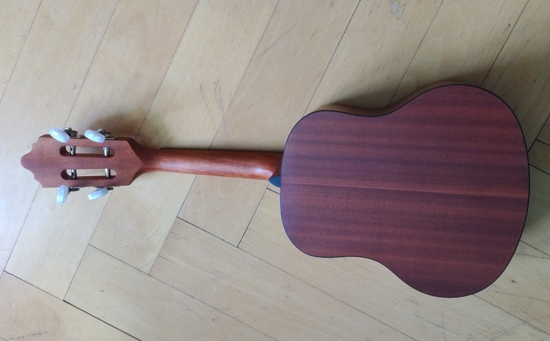 Giannini Musikinstrumente: Cavaquinho acoustique Giannini neuf – Neu und originalverpackt aus Vevey von Djporradao 7