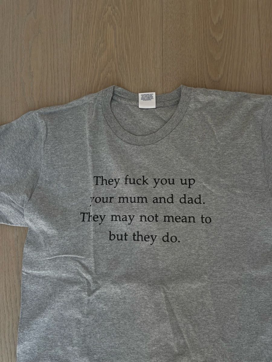 Supreme T-Shirts: Supreme T-Shirt Grau mit Spruch, Grösse L – Gebraucht aus Birmensdorf ZH von nin.am 1