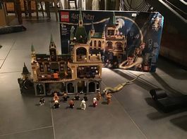 Harry Potter Lego 76389 Hogwarts Kammer des Schreckens