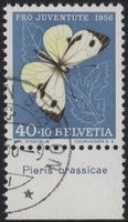 40 Rp. Kohlweissling mit TAB (Pieris brassicae)