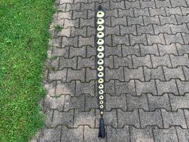 sehr schöner Staatsriemen mit Messing Rosetten