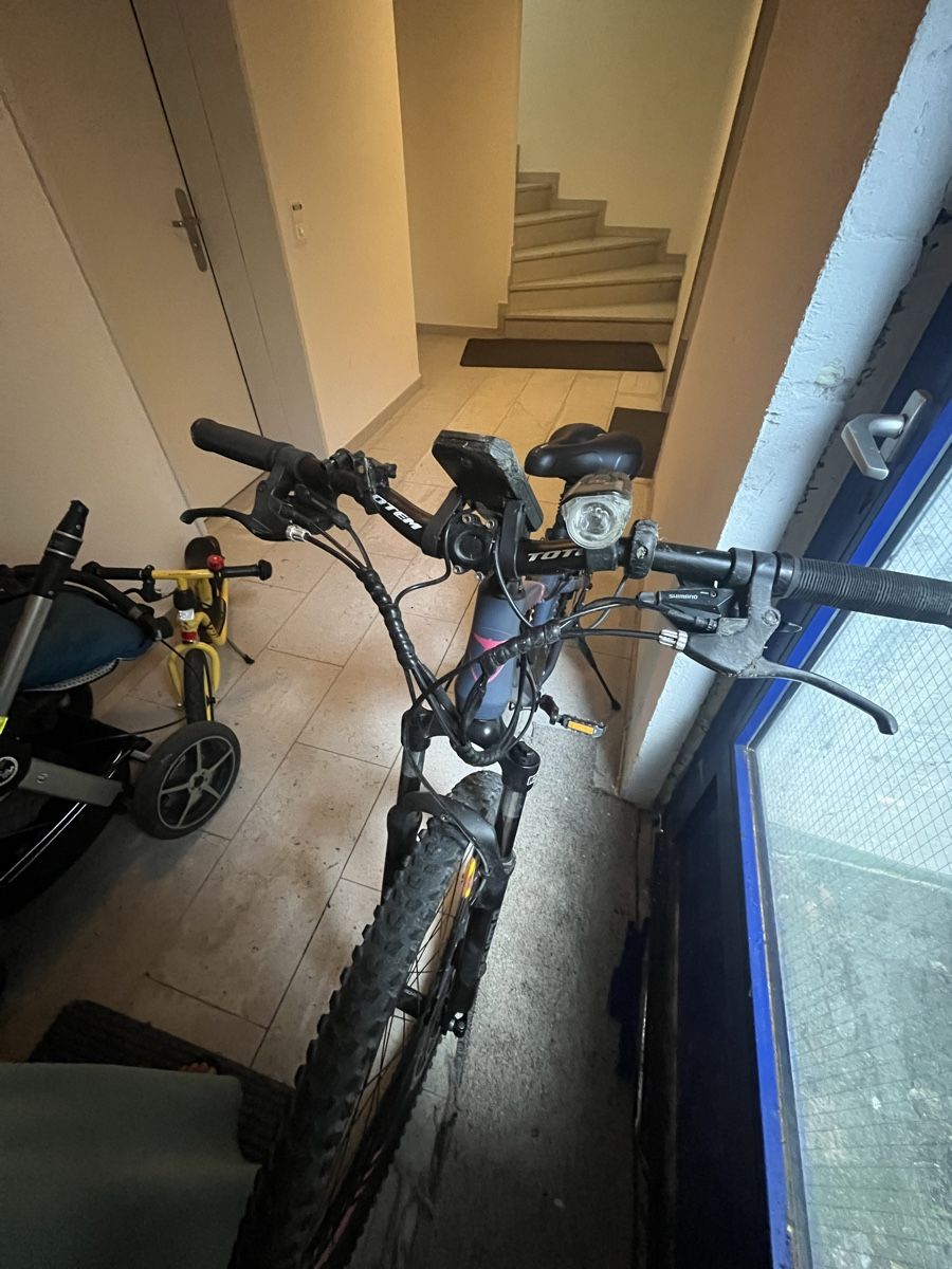 Totem Velos: Ebike – Defekt aus Mörschwil von mar_klw6 5