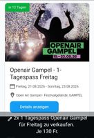 2x 1 Tagespass Freitag Openair Gampel