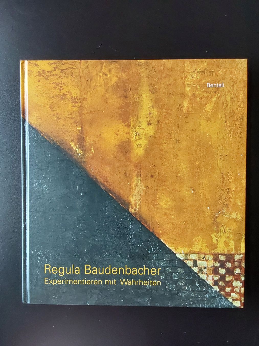Bücher: Regula Baudenbacher. Handsigniert mit 200 Seiten.  – Gebraucht aus Steinach von Chilli1957