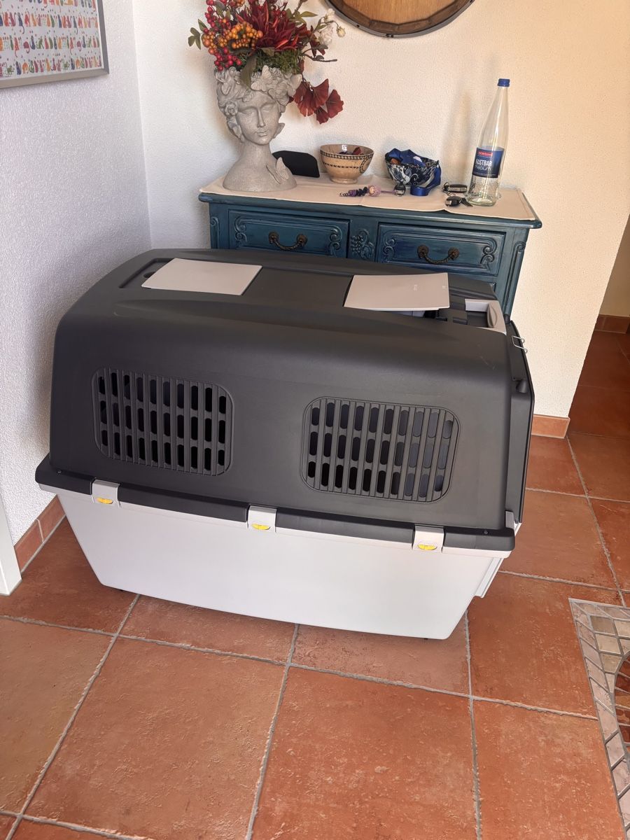 Sonstige Dekorationen & Accessoires: Hundebox – Neu (gemäss Beschreibung) aus Therwil von Olfane 5