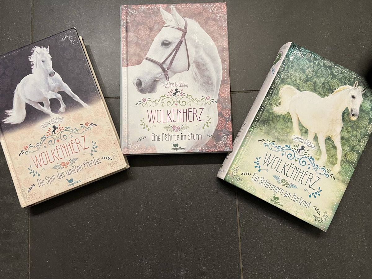 Libri: Wolkenherz – Nuovo (secondo la descrizione) da Flims Waldhaus venduto da casagrondasilvia