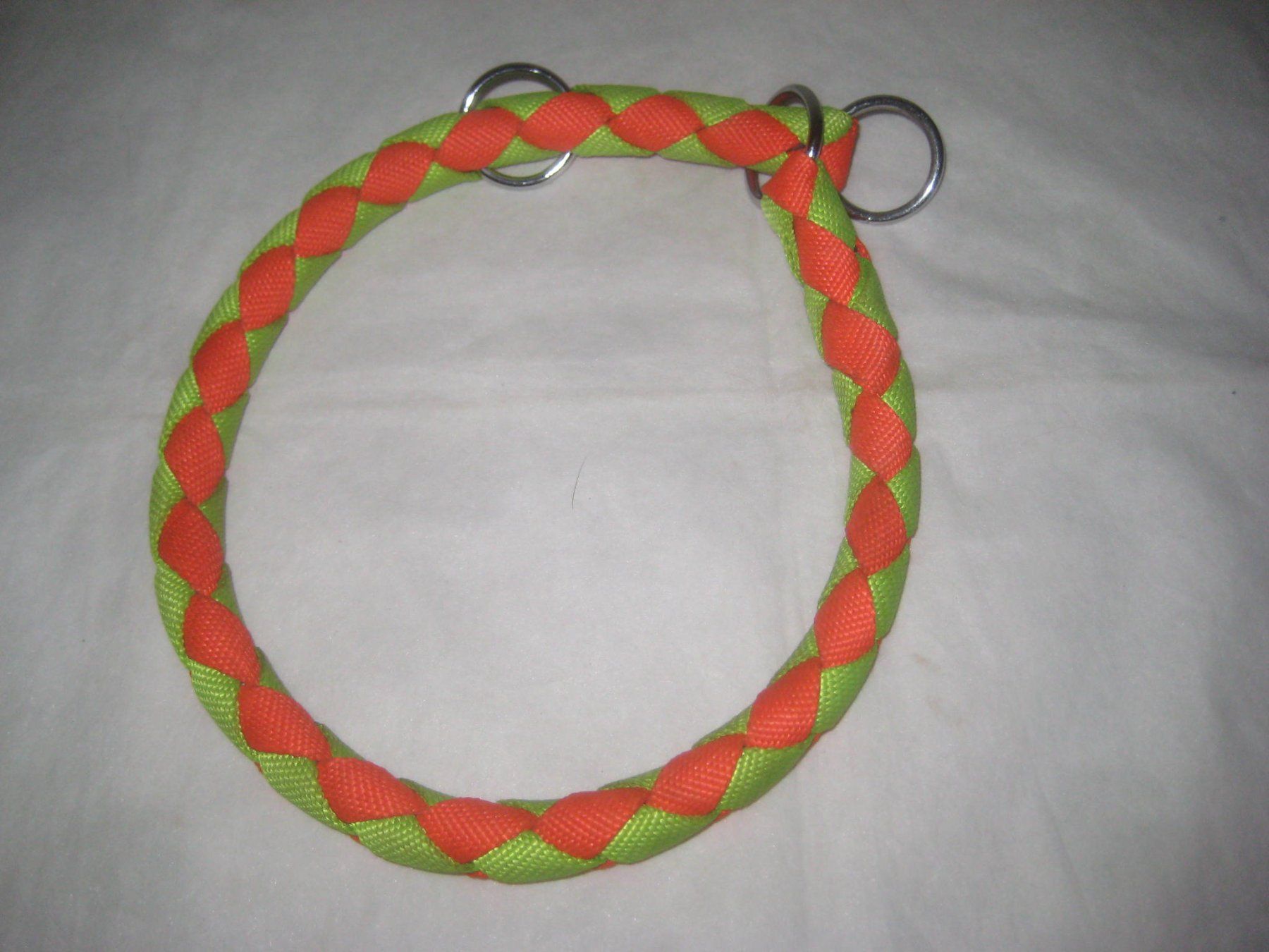 Collier et laisse: HUNDEHALSBAND – Neuf (Voir description) à Uster par flocke1