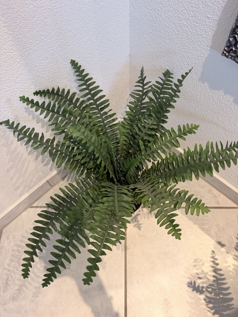 Plantes & graines: 2x IKEA Kunstpflanzen inkl. Töpfe – D'occasion à beinwil am see par tre_2kff 2