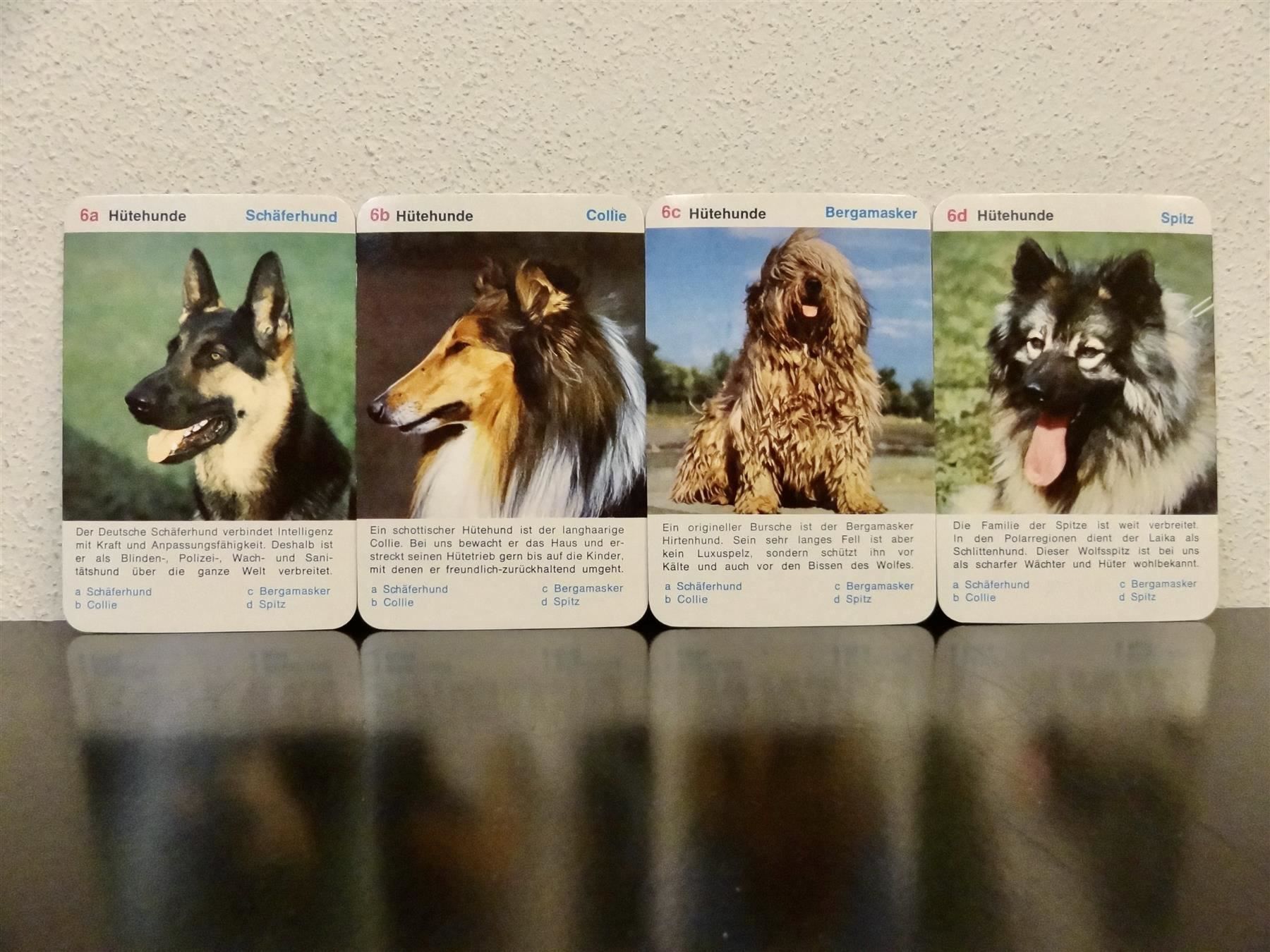 Spiele: altes Quartett TIER-QUARTETT HUNDE HUND – Gebraucht aus Kerzers von wisaundso 8